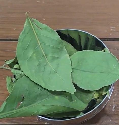herbal-kada