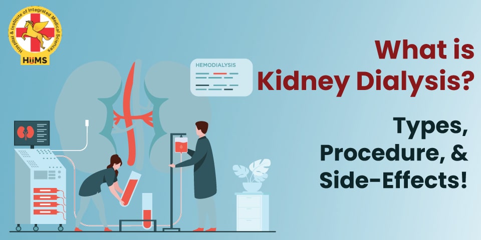 Kidney Dialysis A Complete Guide On Types And How It Is Work 