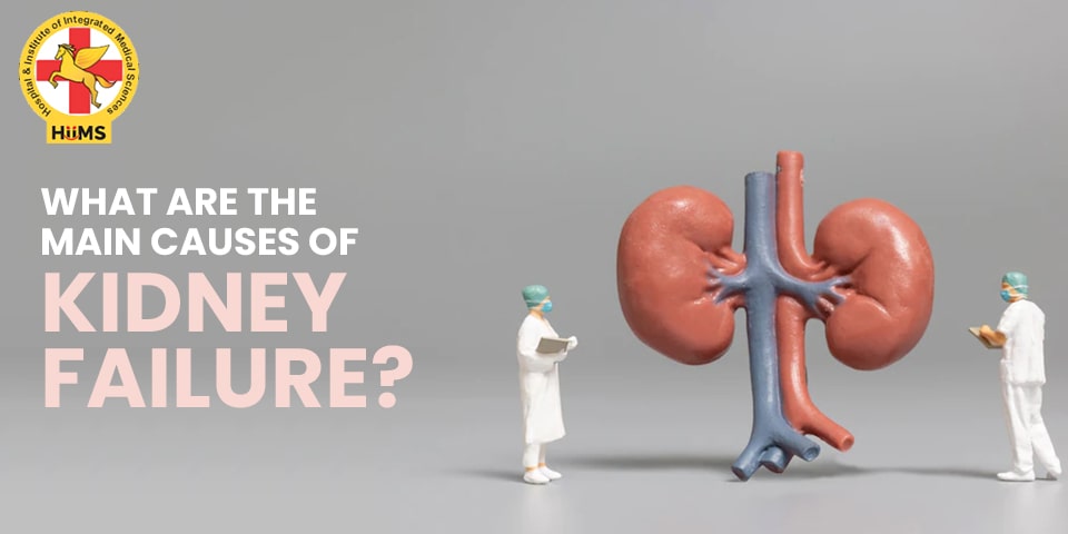 Main Causes of Kidney Failure
