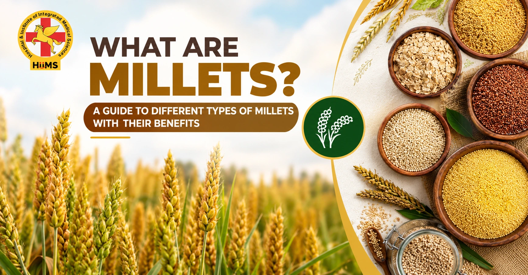 What Are Millets