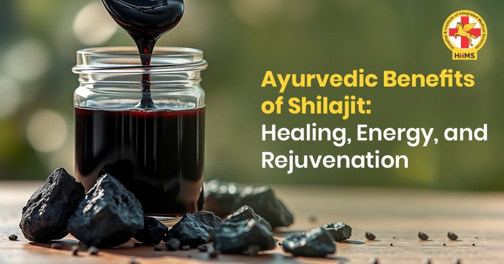 Ayurvedic Benefits of Shilajit