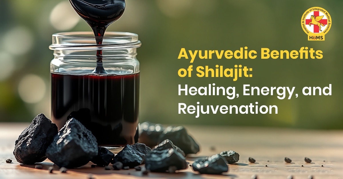 Ayurvedic Benefits of Shilajit