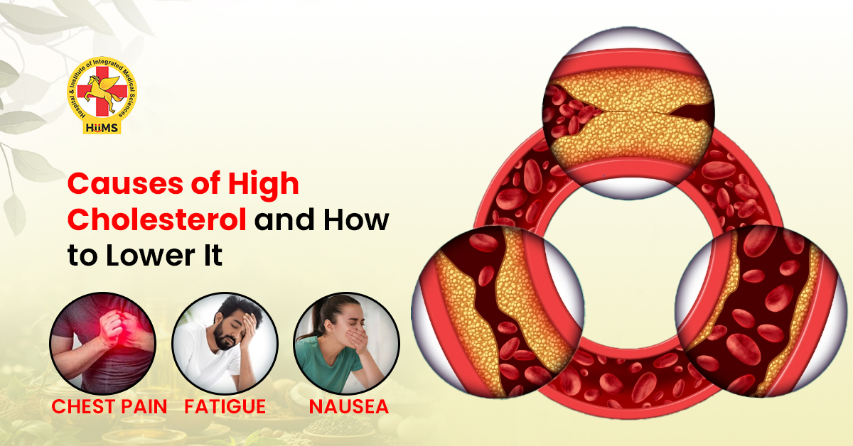 causes of high cholesterol