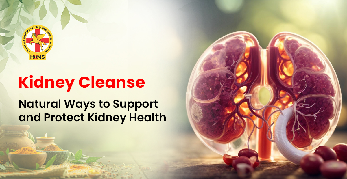 Kidney Cleanse Natural Ways to Support and Protect Kidney Health