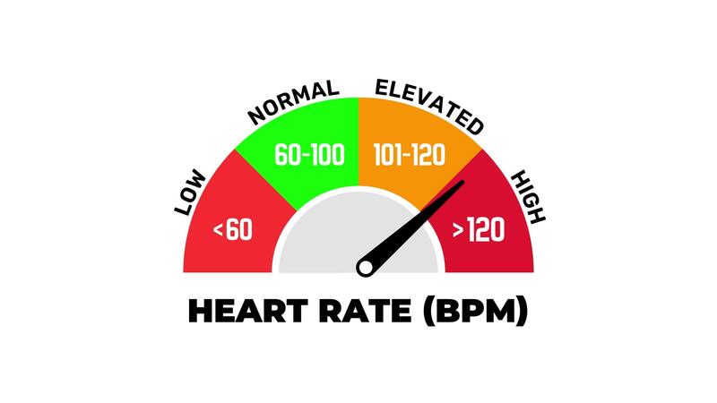 animated-heart-rate-bpm-level-gauge-indicator-low-normal-elevated-high-scale-video