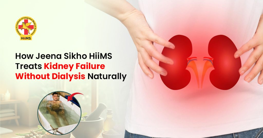 Natural treatment for kidney failure without dialysis using Ayurveda