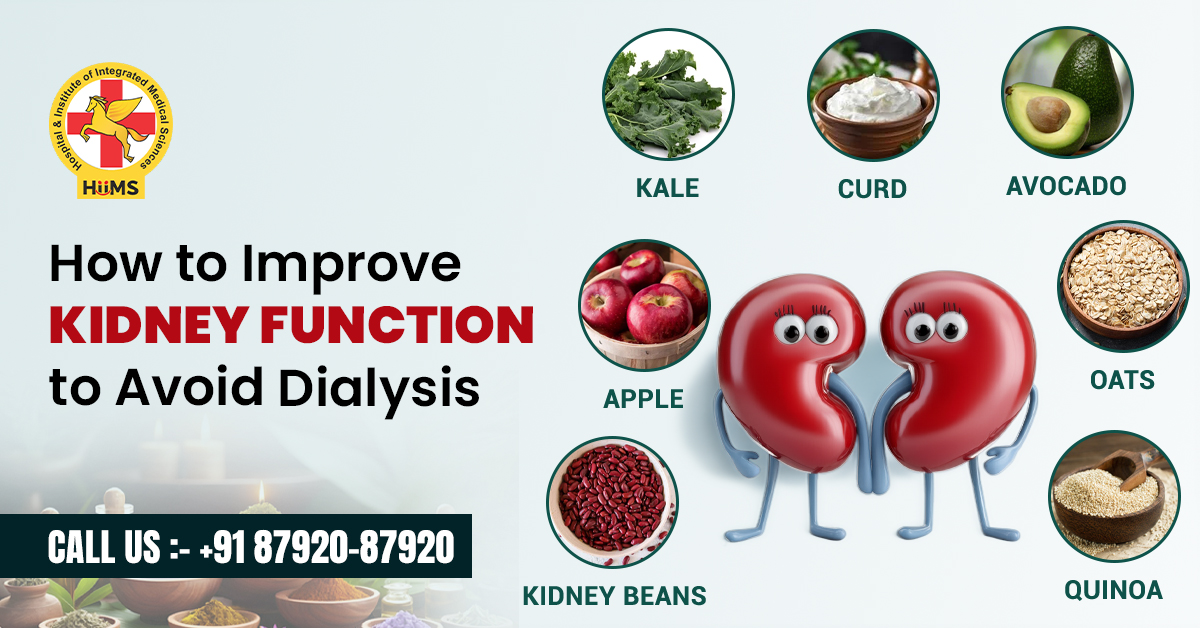 Natural kidney detox methods to improve kidney performance