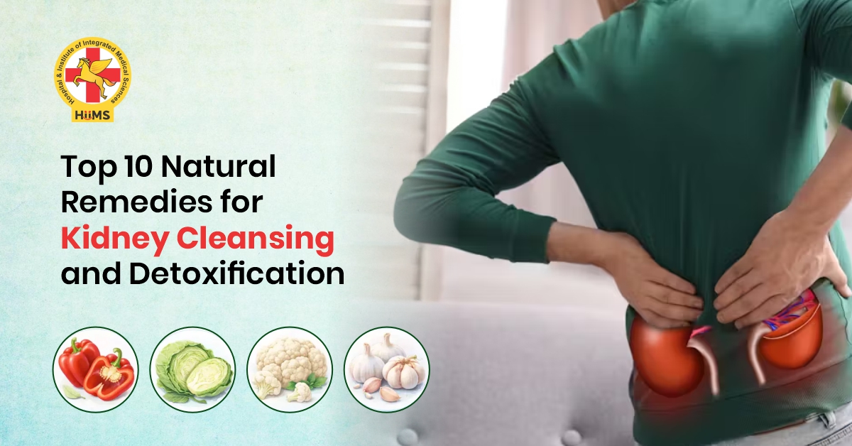 Kidney cleansing natural detox for healthy kidney function