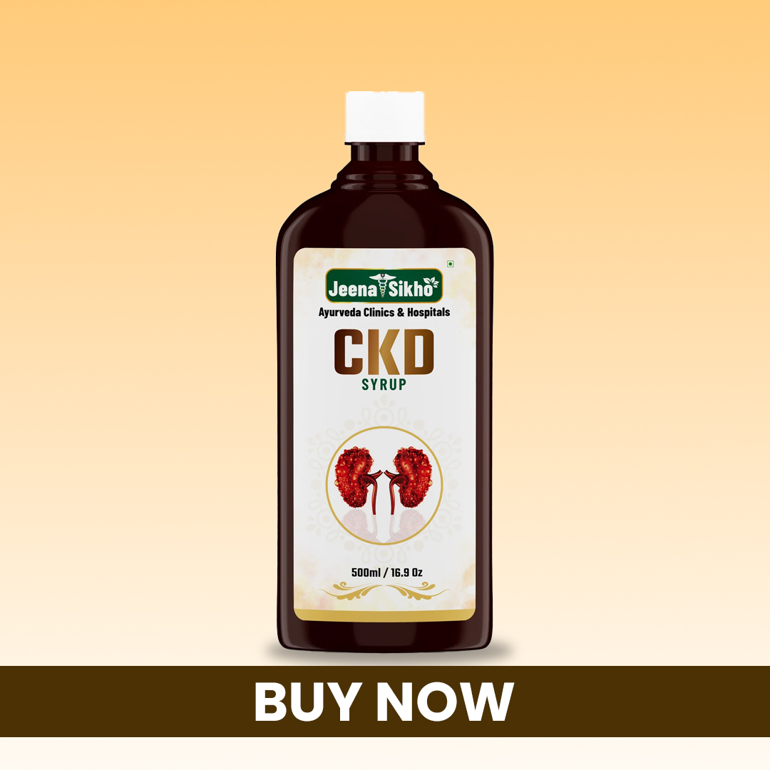 Ayurvedic kidney kadha and CKD syrup for natural kidney care