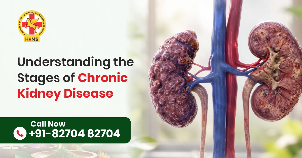 Chronic Kidney Disease stages and kidney health awareness