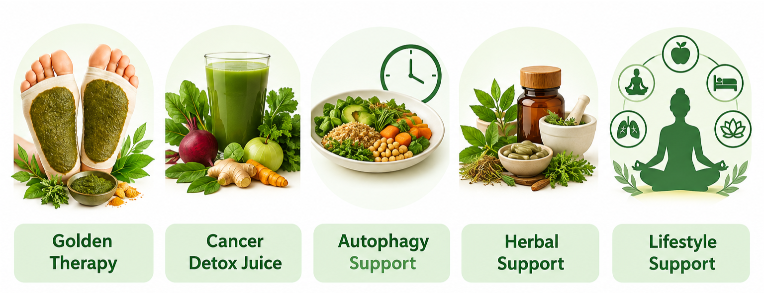 Ayurvedic Support in Cancer Care