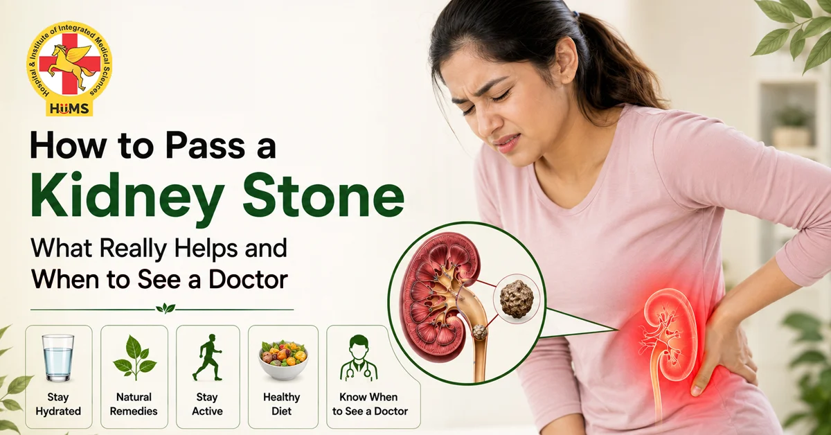 Ayurvedic kidney stone treatment and support