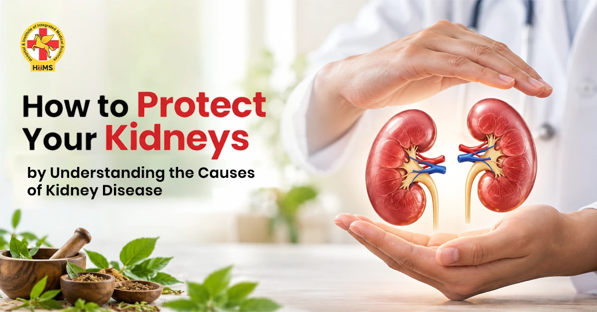Kidney Disease Causes and Natural Ways to Protect Kidney Health
