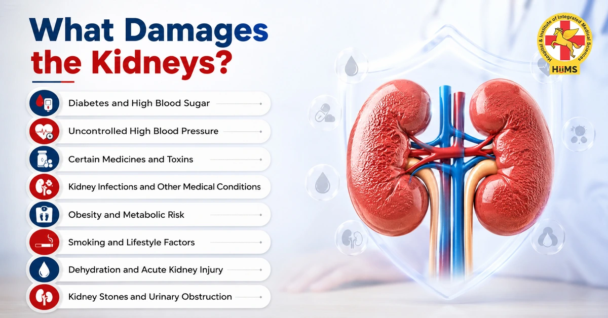 What Damages the Kidneys