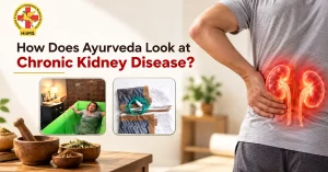 Ayurvedic approach to chronic kidney disease care