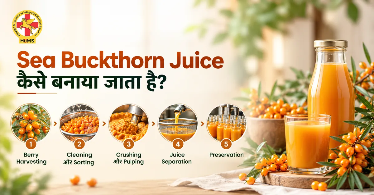 Sea-Buckthorn-Juice-कैसे-बनाया-जाता-है