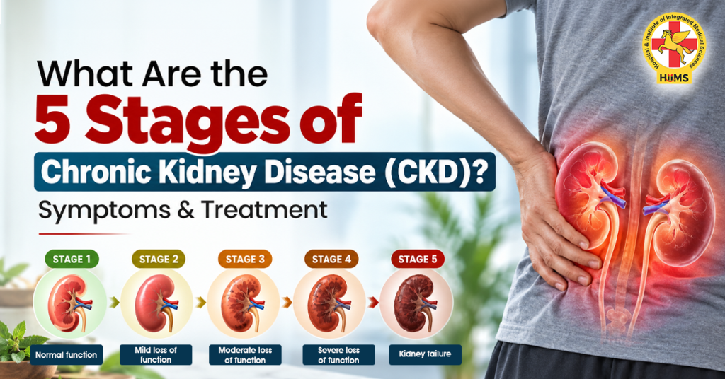 5 Stages of Chronic Kidney Disease: Symptoms & Treatment