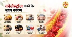 कोलेस्ट्रॉल बढ़ने के मुख्य कारण