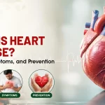 What Is Heart Disease? Causes, Symptoms, and Prevention