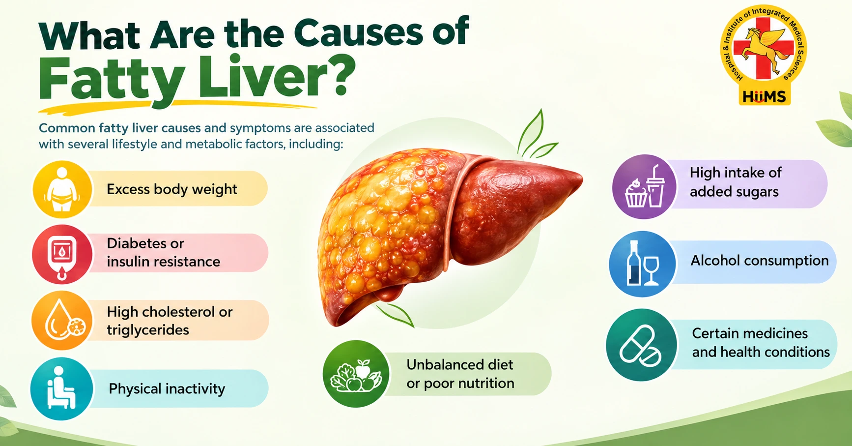 Causes of Fatty Liver