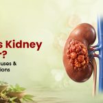 What Is Kidney Cancer? Symptoms, Causes & Treatment Options