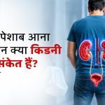 बार-बार पेशाब आना और सूजन क्या किडनी रोग के संकेत हैं? पूरी जानकारी