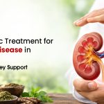 Ayurvedic Treatment for Kidney Disease in Jammu | Natural Kidney Support