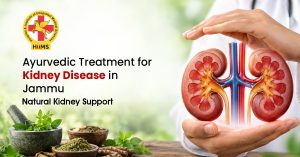 Ayurvedic treatment for kidney disease