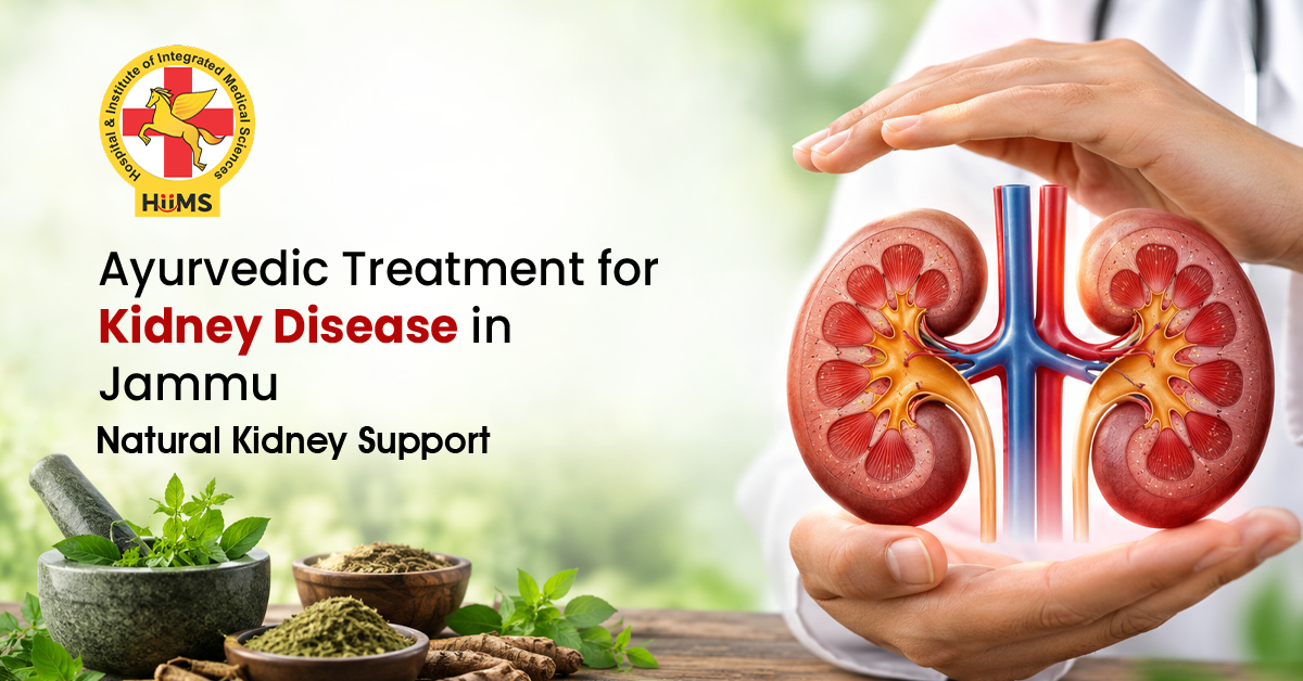 Ayurvedic treatment for kidney disease