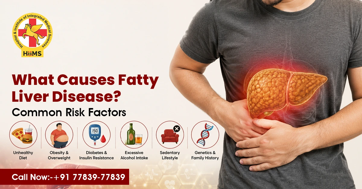 What Causes Fatty Liver Disease