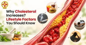 why cholesterol increases