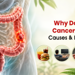 Why Does Colon Cancer Happen? Causes & Risk Factors