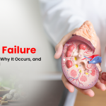 Kidney Failure: What Happens, Why It Occurs, and How It’s Treated