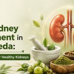 Best Kidney Treatment in Ayurveda: Natural Care for Healthy Kidneys