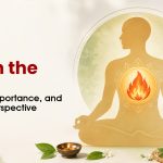 Pitta in Body Explained : Functions, Importance, and Ayurvedic Perspective