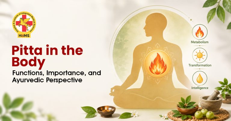 Pitta in the Body Functions, Importance, and Ayurvedic Perspective
