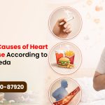 5 Main Causes of Heart Disease According to Ayurveda