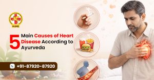 5 Main Causes of Heart Disease According to Ayurveda