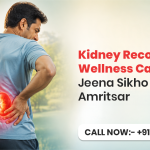 Kidney Recovery and Wellness Care by Jeena Sikho HiiMS-Amritsar