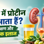 यूरिन में प्रोटीन क्यों आता है? कारण, लक्षण और आयुर्वेदिक इलाज