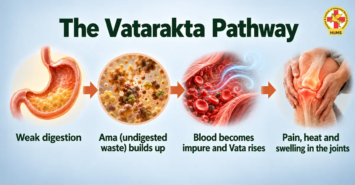 The-Vatarakta-Pathway