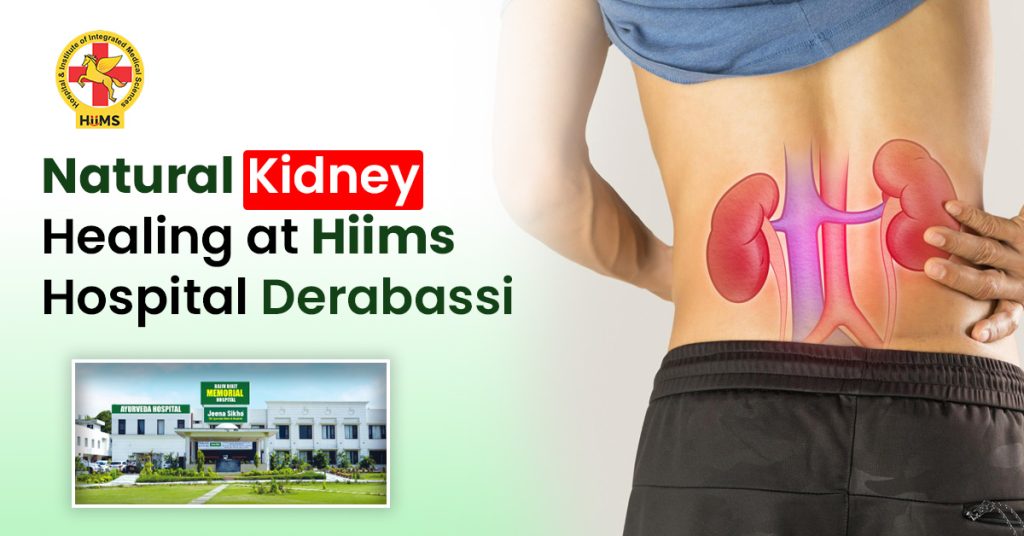 Ayurvedic doctor providing kidney treatment at the best kidney hospital in Derabassi