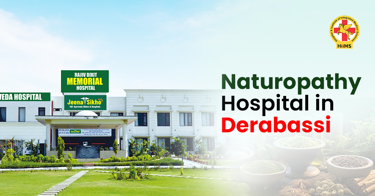 Naturopathy Hospital in Derabassi offering natural healing and wellness treatments