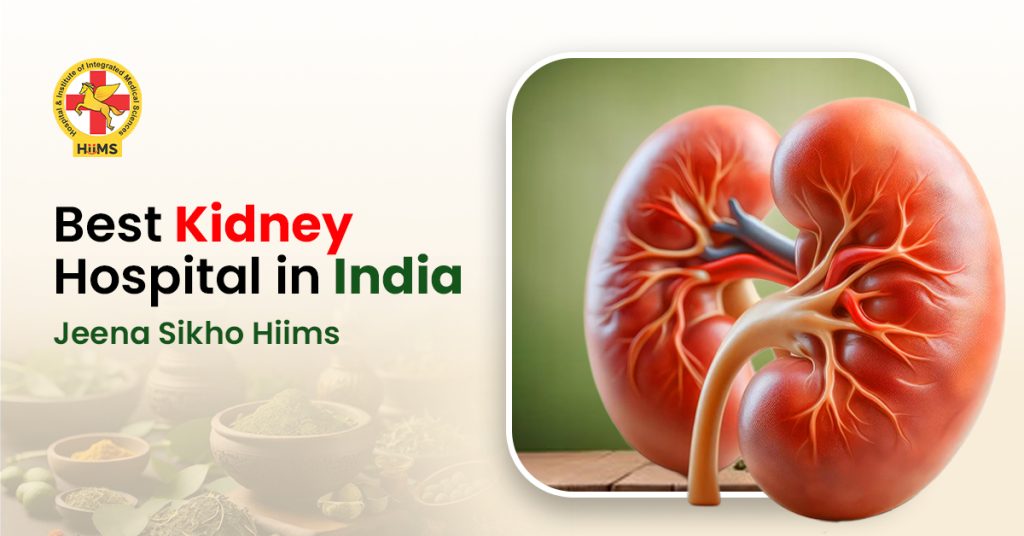 Best-Kidney-Hospital-in-India
