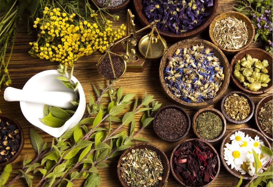herbal-support