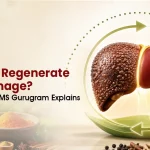 Can Liver Regenerate After Damage? Jeena Sikho HiiMS Gurugram Explains