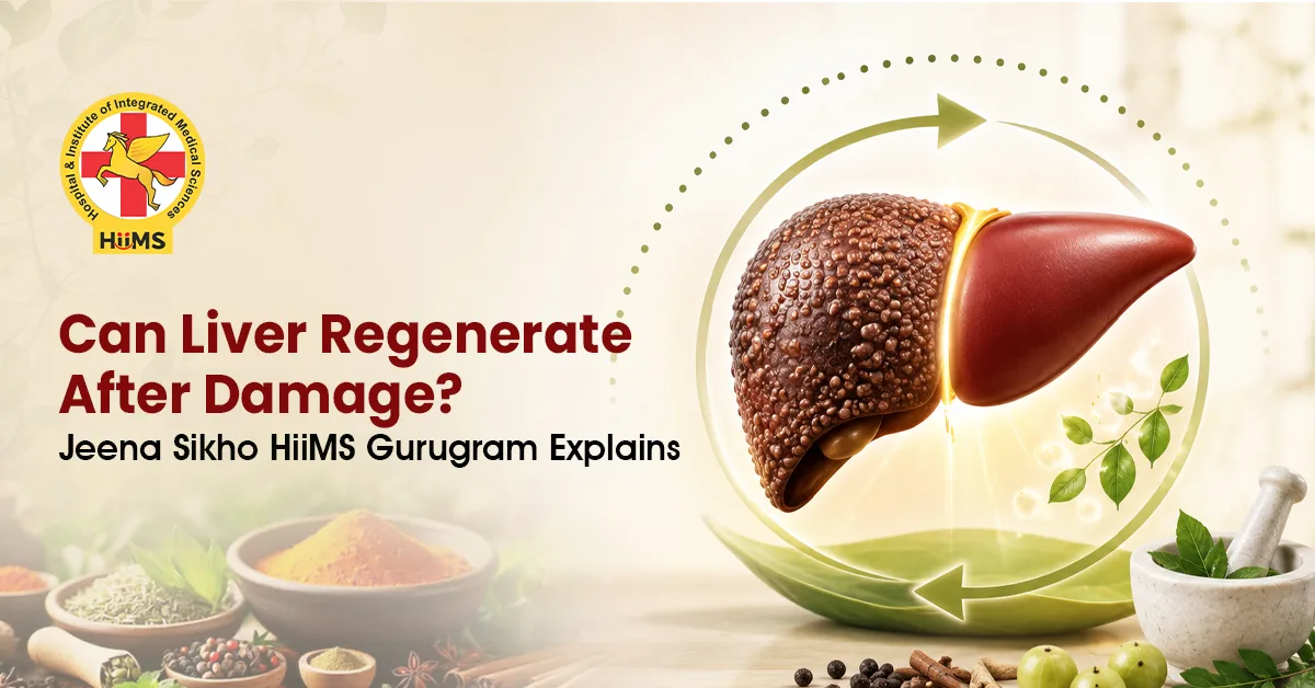 an-Liver-Regenerate