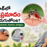హైదరాబాద్‌లో డెంగ్యూ ప్రమాదం ఎందుకు పెరుగుతోంది? కారణాలు, లక్షణాలు మరియు నివారణ చిట్కాలు