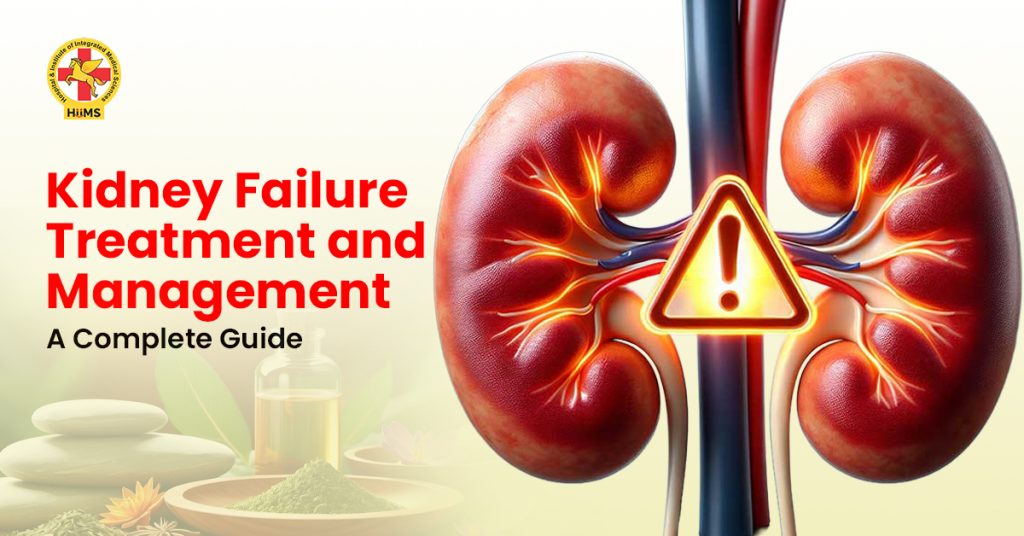 Kidney Failure Treatment and Management A Complete Guide