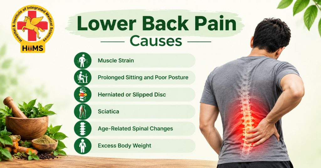 Lower Back Pain causes under
